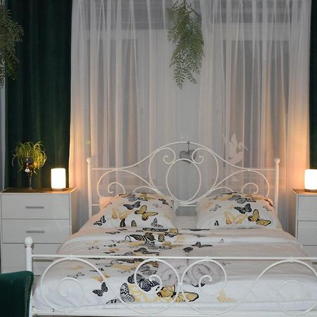 Apartament U Danusi Złoty Stok Buitenkant foto