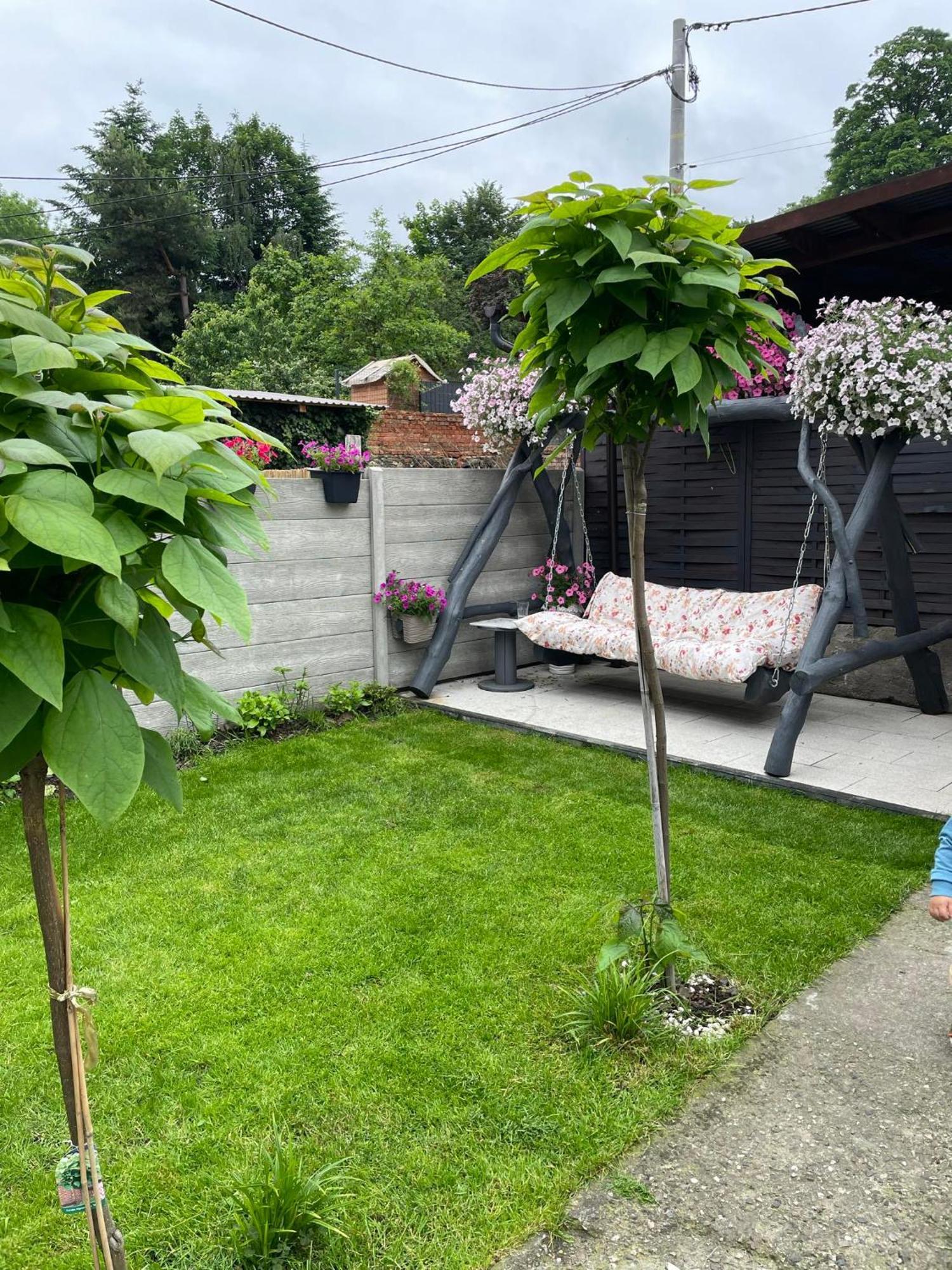 Apartament U Danusi Złoty Stok Buitenkant foto