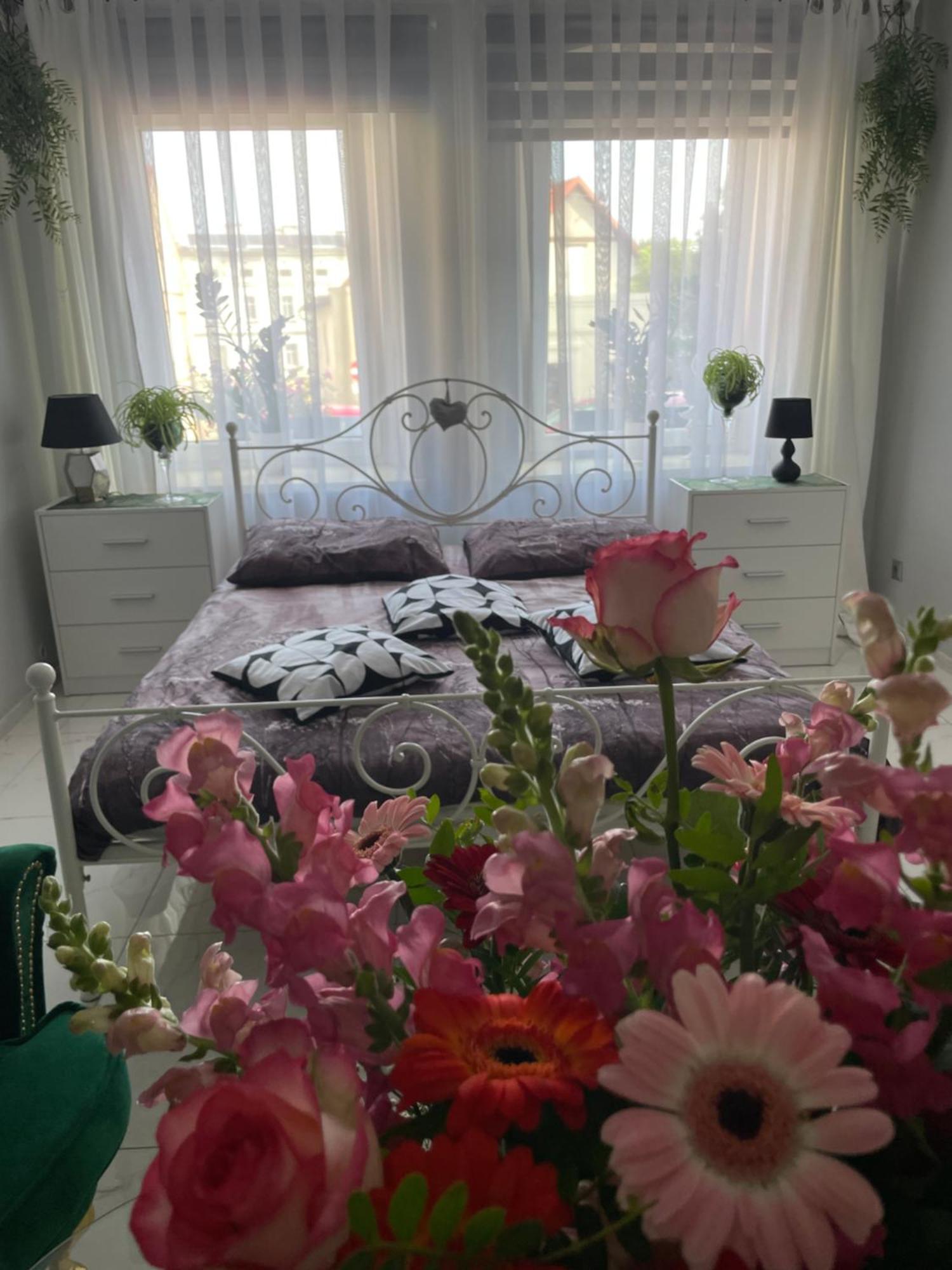 Apartament U Danusi Złoty Stok Buitenkant foto